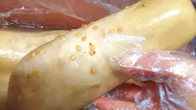 무짠지-만들기-레시피로-완성한-무짠지