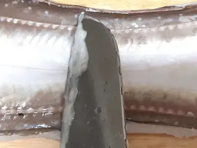 장어-지느러미,-껍질-점액질-제거-손질
