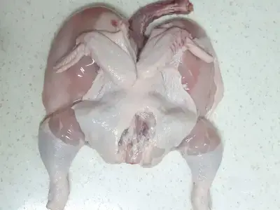 내장,-핏물,-지방을-깨끗이-제거하는-닭-손질
