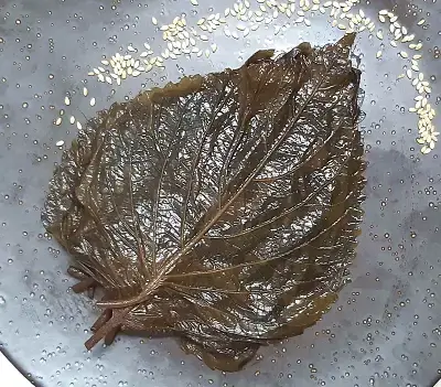 담근-지-20일-된-깔끔한-삭힌-깻잎-간장-장아찌