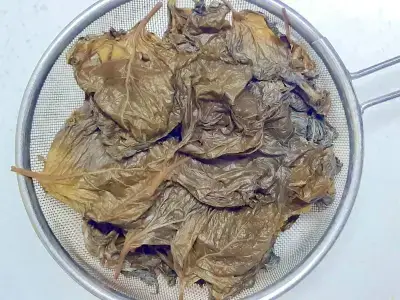 삶은-삭힌-깻잎-물기-제거하기